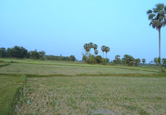 Mandal Pushkarini