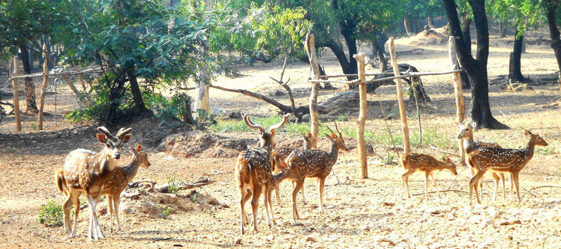   Ballavpur Wildlife Sanctuary